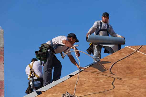 Roof Gutter Cleaning in Pulaski, WI