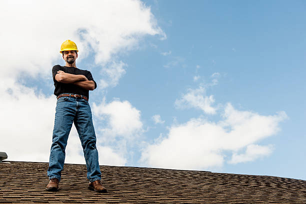 Best Roof Gutter Cleaning  in Pulaski, WI